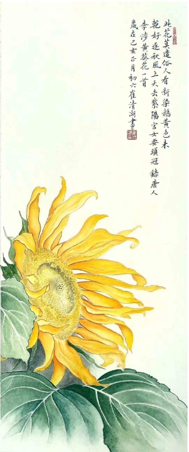 崔清湖《黄葵花》